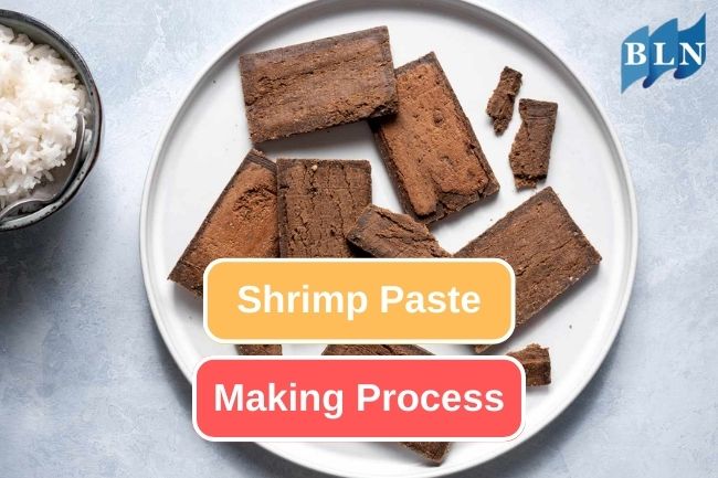 How Shrimp Paste Making Process Works